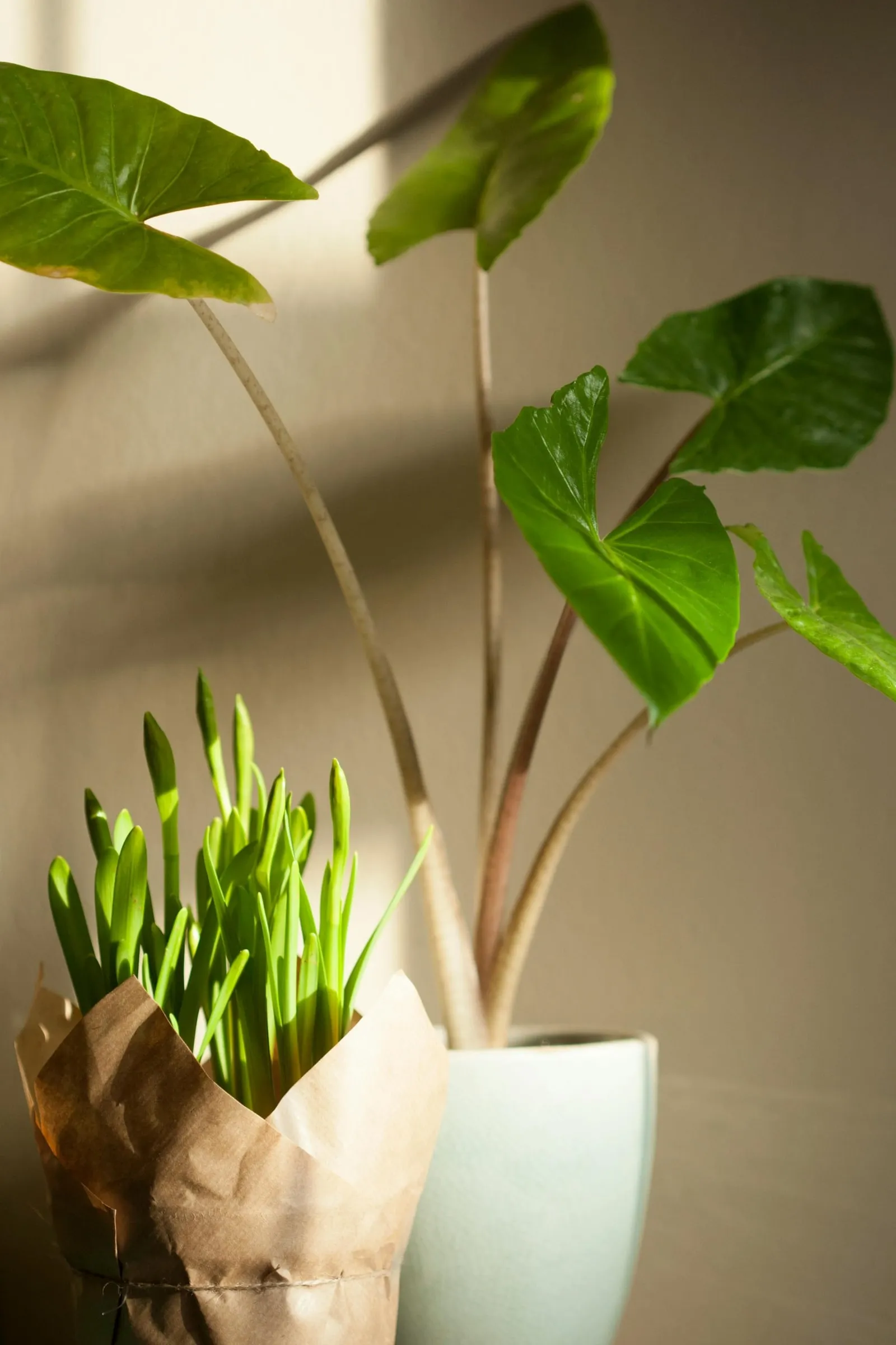 Soft botanical detail from the salon